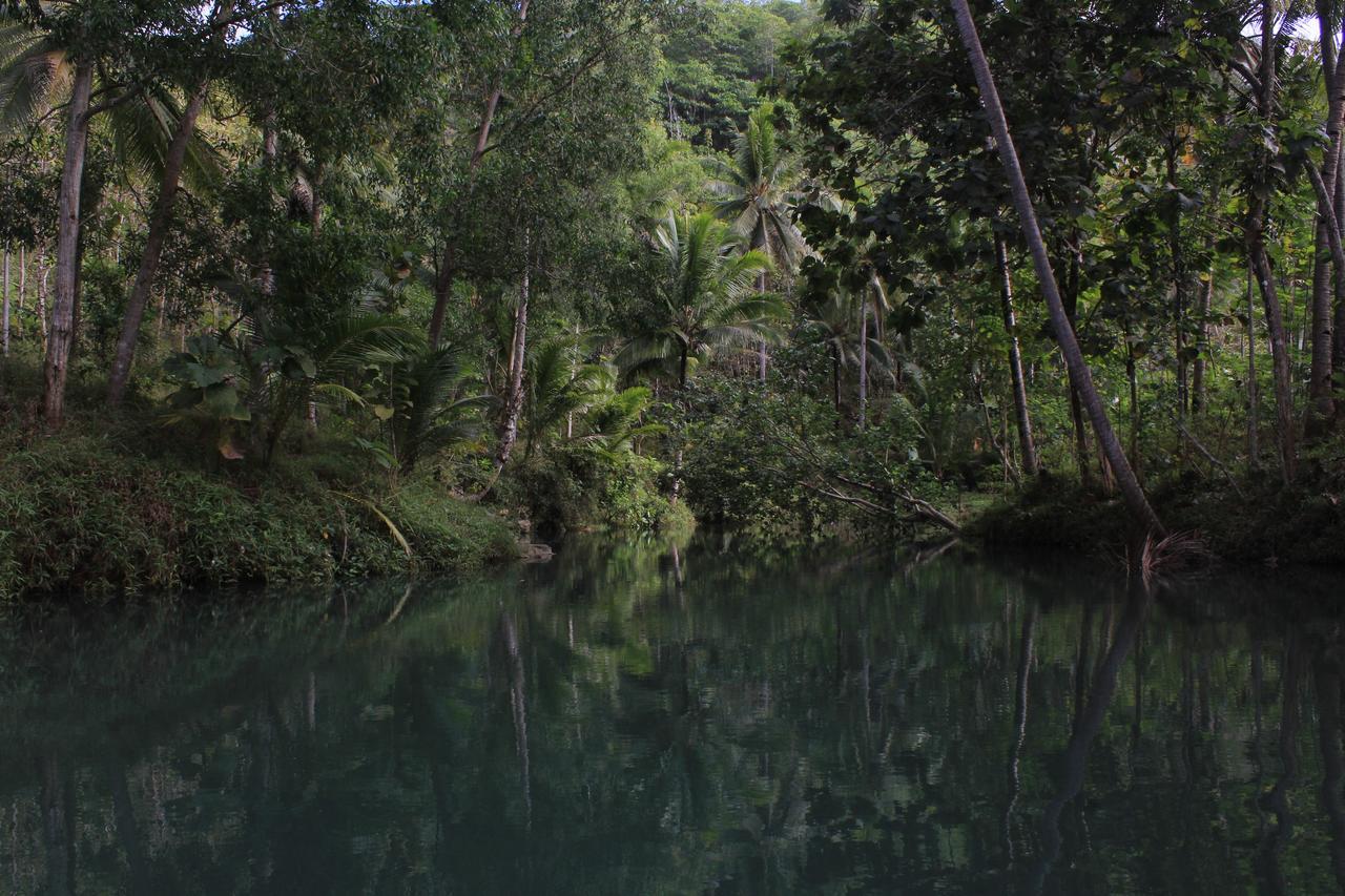 Harry'S Ocean House Watukarung Homestay Kalak Zewnętrze zdjęcie