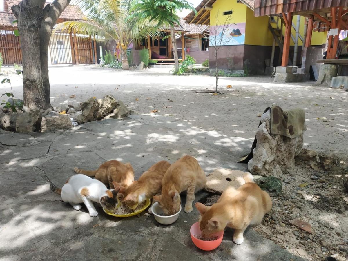 Harry'S Ocean House Watukarung Homestay Kalak Zewnętrze zdjęcie